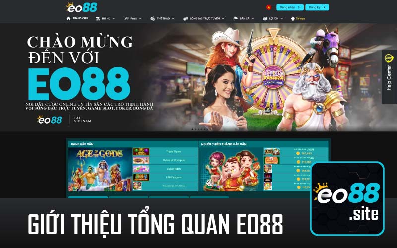 Giới thiệu tổng quan EO88